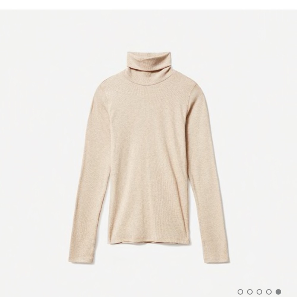 NWT Everlane Pima Micro-Rib Turtleneck XS